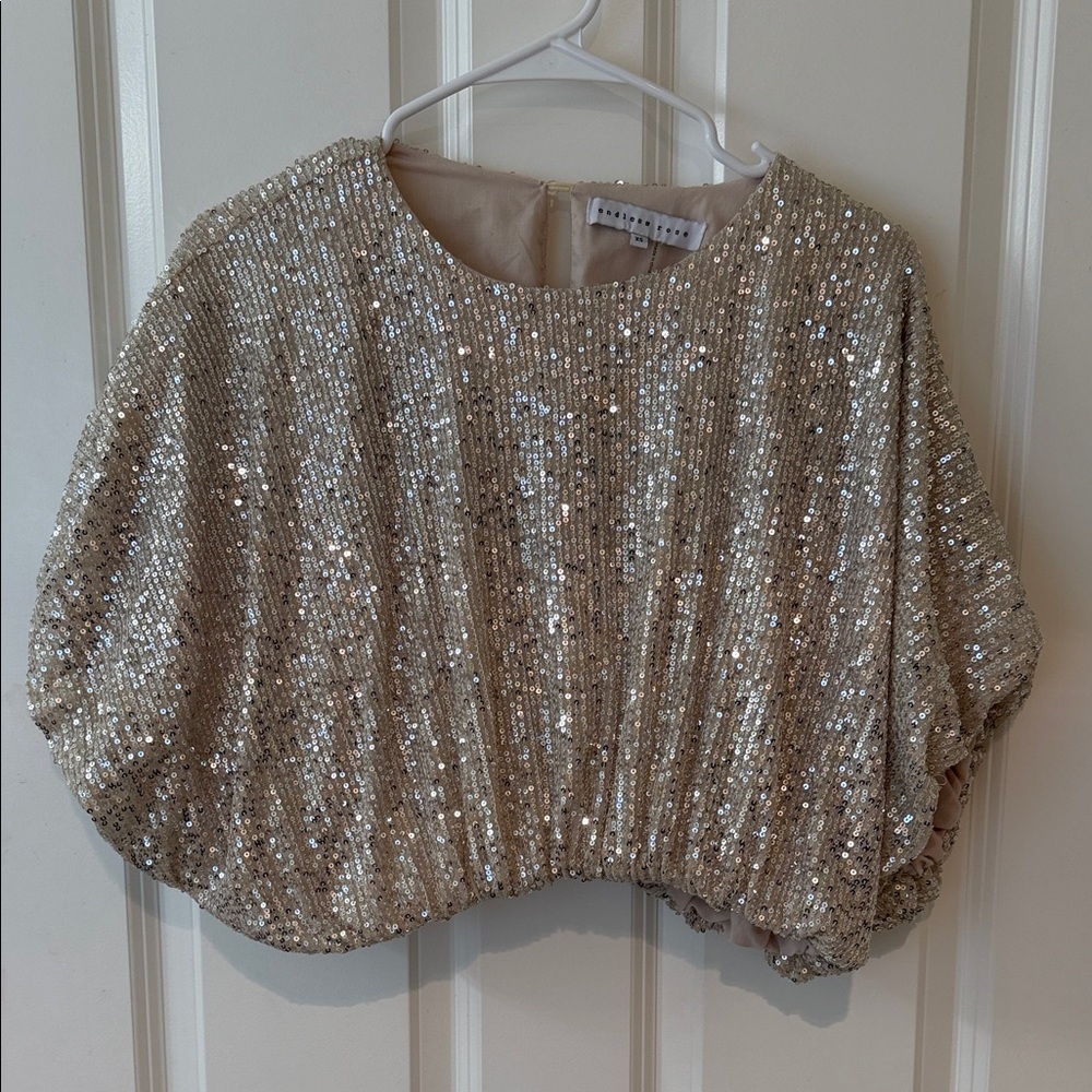 Endless Rose Silver Sequin Top